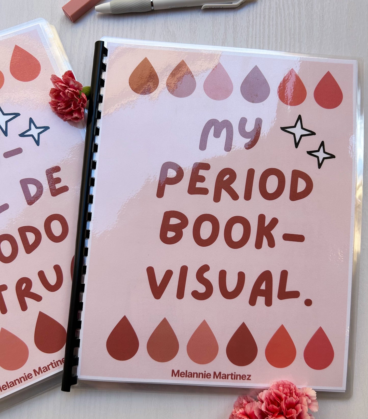 My Period Book-Visual (Physical)